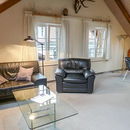 公寓 Altstadt Loft By Interhome 因特拉肯